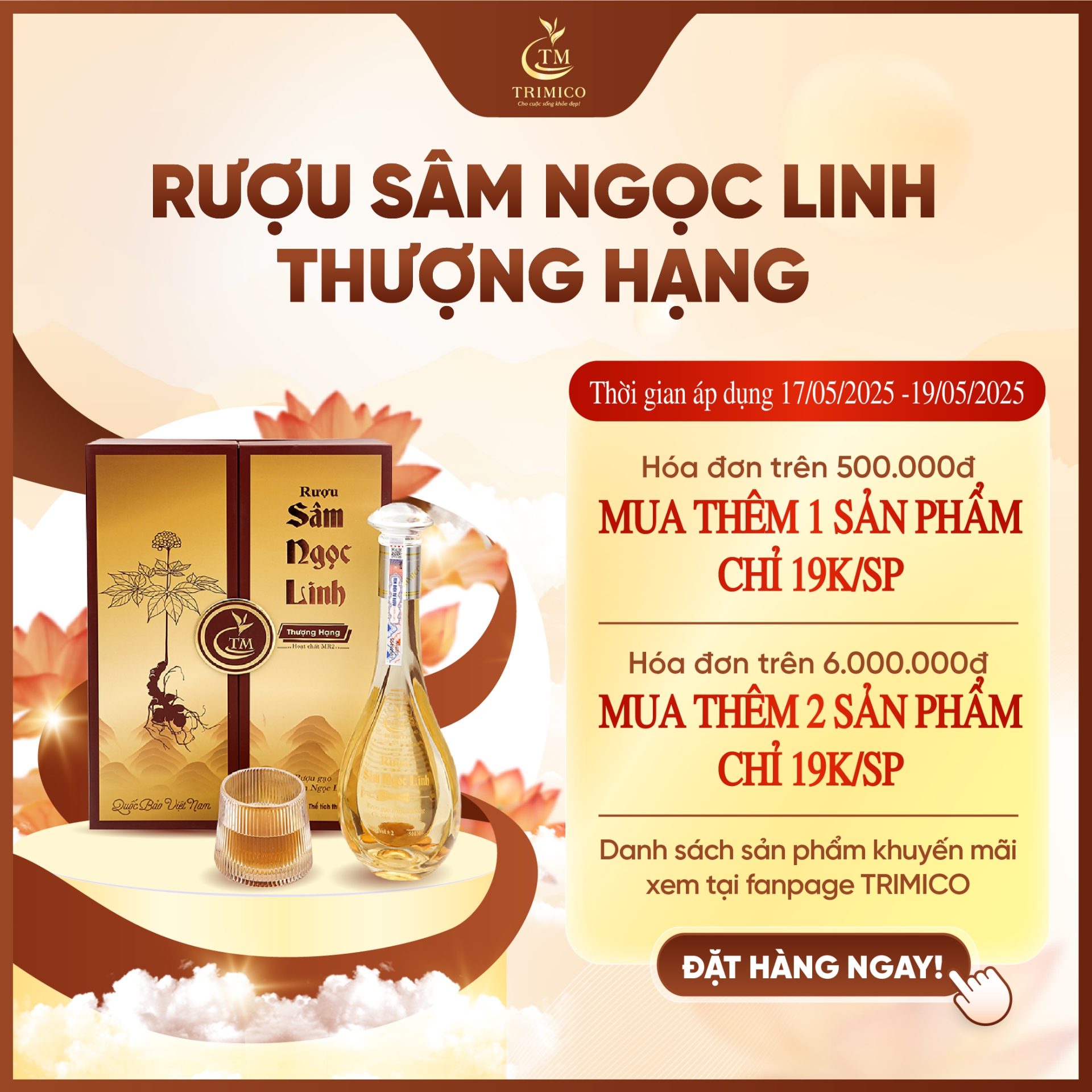 Rượu Sâm Ngọc Linh Thượng Hạng